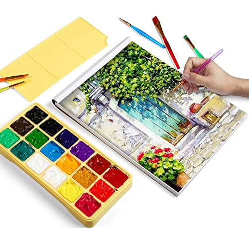 HIMI Gouache Paint Set Jelly Cup 18 Vibrant Colors Non Toxic Paints with Portable Case Palette for Artist Canvas Painting Watercolor Papers, Rich INK LAB
