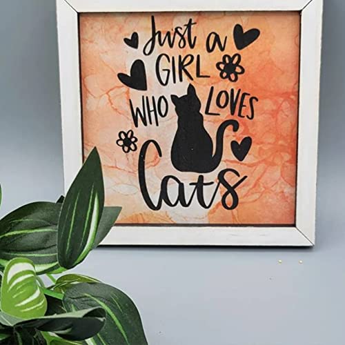 14 Pcs Cat Stencils for Painting on Wood Canvas Shirt, Small Large Flower Moon Cat Stencil Plastic Shirt Fabric Stencils for Painting on Wall Wood Hosomono