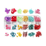 AGCFABS 1 Box Real Dried Flower Dry Plants Ammi Majus for UV Epoxy Resin Pendant Necklace Jewelry Making Craft Nail Art Decoration (5) AGCFABS