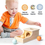 Busy edition Montessori Toys for Babies 6-12 Months Object Permanence Box Wooden Ball Drop Toy Play for 6 Month 1 2 3 Year Old Toddlers Infant Early Busy edition