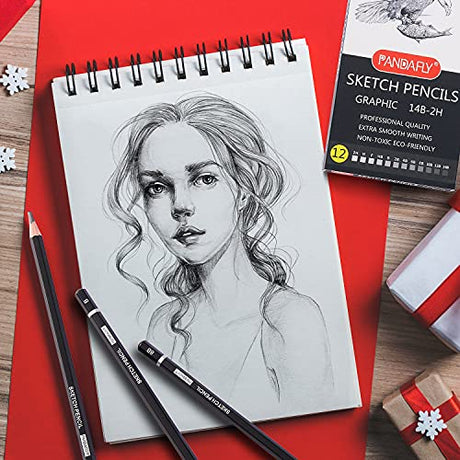 PANDAFLY Professional Drawing Sketching Pencil Set - 12 Pieces Graphite Pencils(14B - 2H), Ideal for Drawing Art, Sketching, Shading, Artist Pencils PANDAFLY