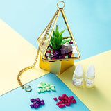 STMT D.I.Y. Crystal Terrarium, Terrarium Kit, DIY Terrarium Kit, Kids Terrarium Kit, Craft Kit, Terrarium Kit for Kids, Arts and Crafts for Kids, STMT