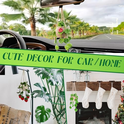 SGIBYN Crochet Kit for Beginners with Step-by-Step Video Tutorials,Beginners Starter Crochet Succulent Plant Kit for Adults Kids,Learn to Crochet Set SGIBYN