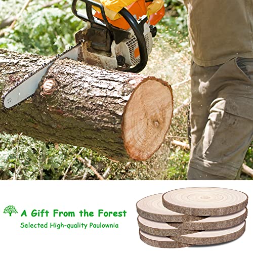 Wood Slices 6Pcs 10"-12.5 Inch Wood Slices for Centerpieces/Table Large Wood Rounds for Centerpieces/Crafts/Ornaments/DIY Projects ZKHOB