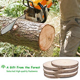 Wood Slices 6Pcs 10"-12.5 Inch Wood Slices for Centerpieces/Table Large Wood Rounds for Centerpieces/Crafts/Ornaments/DIY Projects ZKHOB