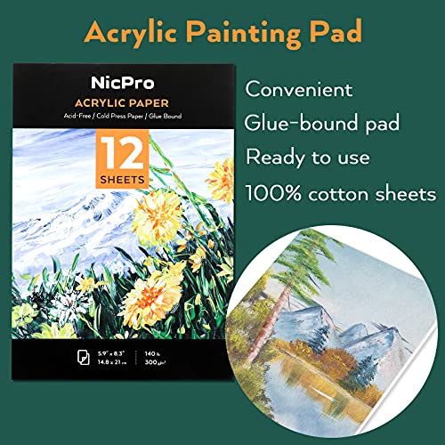 Nicpro Acrylic Paint Set, Kid & Adult Art Painting Party Kit, 2 Set of Acrylic Paint (12 Colors), 30pcs Paint Brushes,5 Canvas Panel,Wood Easel,3 - WoodArtSupply