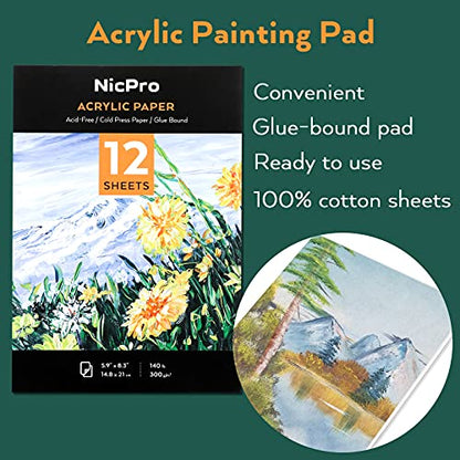 Nicpro Acrylic Paint Set, Kid & Adult Art Painting Party Kit, 2 Set of Acrylic Paint (12 Colors), 30pcs Paint Brushes,5 Canvas Panel,Wood Easel,3