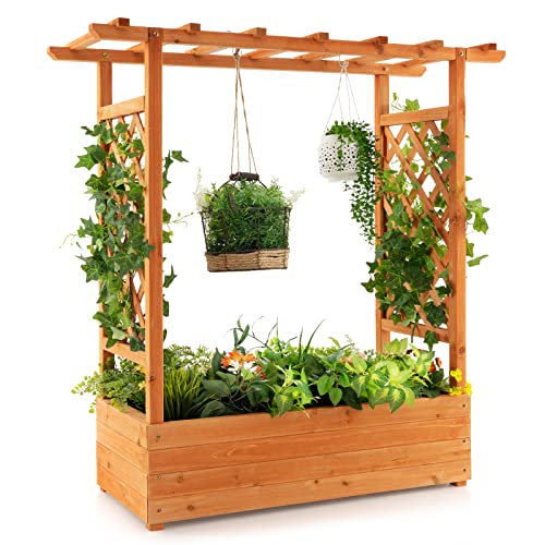 S AFSTAR Raised Garden Bed with Arch Trellis, Wood Planter Box with Hanging Roof, Side Trellis, 4 Drainage Holes, Above Ground Elevated Garden Bed S AFSTAR