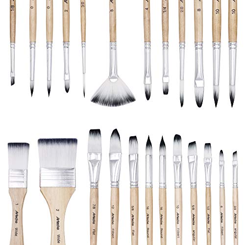 Artecho Art Paint Brushes Set 24 Different Shapes for Watercolor, Acrylic, Gouache, Rock Painting, Premium Taklon Brush, with Organizing Case for