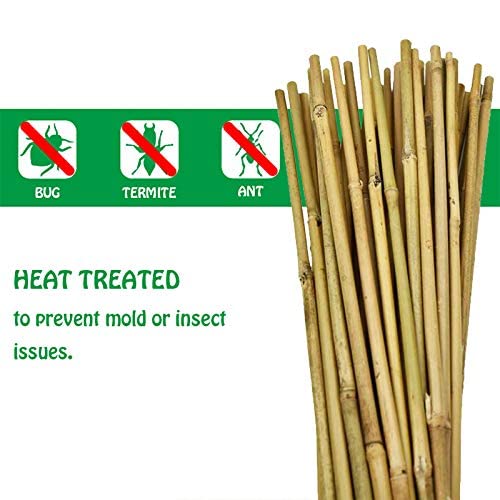Mininfa Natural Bamboo Stakes 6 Feet, Eco-Friendly Garden Stakes, Plant Stakes Supports Climbing for Tomatoes, Trees, Beans, 20 Pack Mininfa