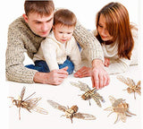 3D Wooden Insect Puzzle Set - 6 Engaging Models for DIY Assembly and Educational Fun i-CHONY