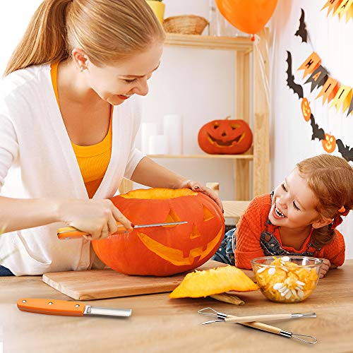 D-FantiX Halloween Pumpkin Carving Kit, 13 Pieces Professional Stainless Steel Pumpkin Carving Tools Kit with Stencils and Carrying Case - Carve D-FantiX