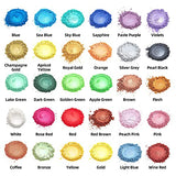 Mica Powder, 30 Color Resin Pigment, Natural Cosmetic Grade Shimmer Mica Powder for Epoxy Resin/Bath Bombs/Candle/Soap/Lip Gloss/Slime. Candle NTWJNJY