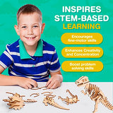 CoolToys Daring Dinos Paint n' Play 3D Model and Craft Kit - STEM Educational Wooden Dinosaurs Building and Painting Set for Kids Ages 6+, Fun and CoolToys