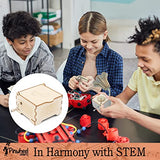 DIY Music Box Craft Kit for Kids - Wooden Construction Science Set | Build Music, Carousel, Gramophone & More | 3-in-1 STEM Building Kit | Includes Pinwheel Crafts