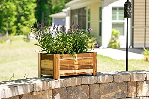 Avera Products | Raised Garden Bed | Rectangle Wood Planter Box | The Perfect Wooden Flower Box | 19" x 9.5" x 8.5" | Great Small Vegetable or Herb Avera Products