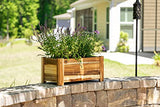 Avera Products | Raised Garden Bed | Rectangle Wood Planter Box | The Perfect Wooden Flower Box | 19" x 9.5" x 8.5" | Great Small Vegetable or Herb Avera Products