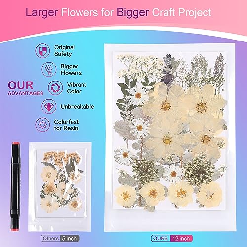 12“ Large Bulk Winter White Dried Pressed Flowers for Art Crafts, Real Dry Natural Flower Leaf for Resin Mold, Jewelry Making, Glass Frame (Winter ZMRU