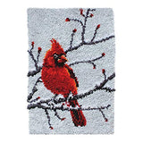Latch Hook Rug Kit for Adults Red Cardinal Crocheting Carpet Rug Yarn Sofa Cushion Mat Tapestry DIY Carpet Arts Crafts,20.5X15 Inch PakyKai