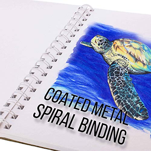 U.S. Art Supply 5.5" x 8.5" Top Spiral Bound Sketch Book Pad, Pack of 2, 30 Sheets Each, 90lb (160gsm) - Acid-Free Heavyweight Paper, Artist US Art Supply