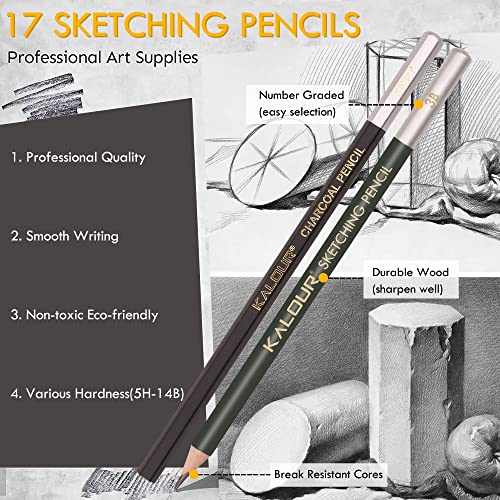 KALOUR 52-Pack Sketch Drawing Pencils Kit with Two Sketchbook,Tin Box,Include Graphite,Charcoal and Artists Tools,Pro Art Drawing Supplies for Adults - WoodArtSupply