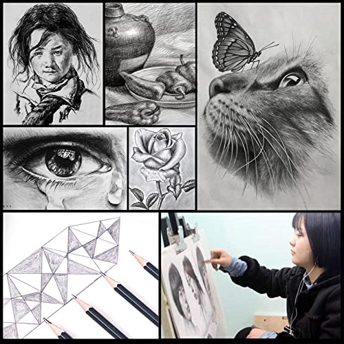 Heshengping Drawing Pencils Sketch Pencil Art Supplies Set for Kids Adults beginners Professional Sketching Art Graphite Charcoal Blending Stump Heshengping