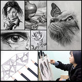 Heshengping Drawing Pencils Sketch Pencil Art Supplies Set for Kids Adults beginners Professional Sketching Art Graphite Charcoal Blending Stump Heshengping