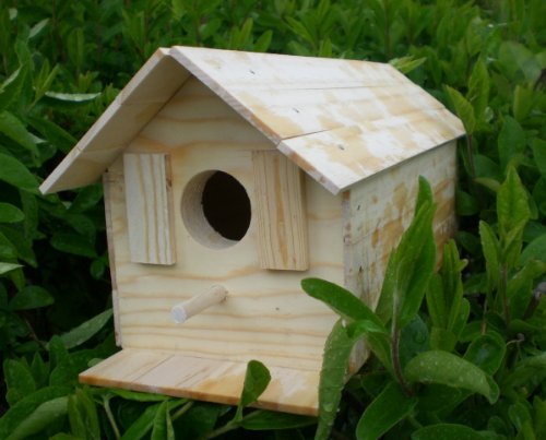 Wood Bird House Kit Complete with Nails HAMMOND TOYS
