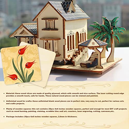 TKOnline 25Pcs 6 x 6 Inches Unfinished Basswood Sheets for Crafts, Wood Squares for DIY Craft Projects, Square Plywood Sheets for Wood Burning, Laser TKOnline