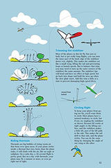 High-Performance Paper Airplanes Kit: 10 Pre-cut, Easy-to-Assemble Models: Kit with Pop-Out Cards, Paper Airplanes Book, & Catapult Launcher: Great Tuttle Publishing