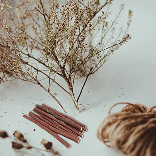 Garneck 40 Pcs Wood Log Sticks Craft Sticks Natural Dry Branches Rod Farmhouse Centerpiece Decor Twigs for DIY Crafts Woodworking Modelling Photo - WoodArtSupply