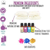 J MARK DIY Candle Making Kit for Adults – 66 Pcs Candle Making Kit with Melter, Decorative Candle Tins, Natural Soy Wax, Dye, Fragrance Oils, Cotton J MARK