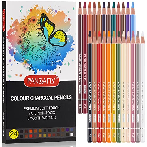 PANDAFLY Professional Drawing Sketching Pencil Set - 12 Pieces Graphite Pencils(14B - 2H) 24 Colors Professional Colour Charcoal Pencils Drawing Set PANDAFLY