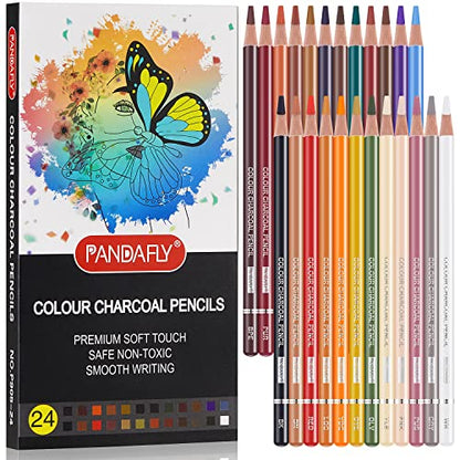 PANDAFLY Professional Drawing Sketching Pencil Set - 12 Pieces Graphite Pencils(14B - 2H) 24 Colors Professional Colour Charcoal Pencils Drawing Set - WoodArtSupply