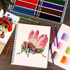 KALOUR Bulk Colored Pencils, 240 Count (12 Colors) - Pre-sharpened, Soft Core, For Kids, Classroom & Adult Coloring