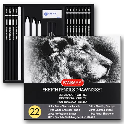 PANDAFLY Drawing Sketching Pencil Set, 22 Piece Pro Art Pencil Kit - Graphite Pencils (12B-2H), Black and White Charcoal Pencils, Charcoal Sticks, PANDAFLY