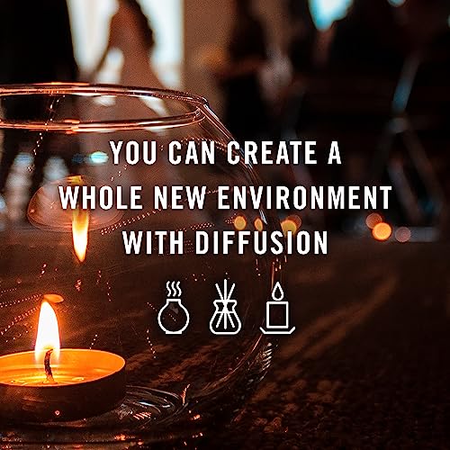 P&J Fragrance Oil Cookies & Cakes Set | Candle Scents for Candle Making, Freshie Scents, Soap Making Supplies, Diffuser Oil Scents P&J Trading