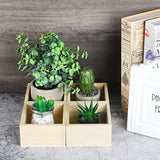 Aodaer 10 Pieces Wooden Box Unfinished Small Platane Wood Box 4 x 4 x 2.2 Inch Rustic Treasure Box Decorative Craft Organizer Storage Box for Crafts, Aodaer