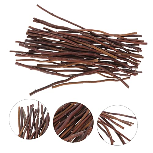 TEHAUX 40pcs Branch Tree Branch Decor Crafts with Twigs and Branches Exquisite DIY Wood Sticks Birch Tree Branches Birch Wood Sticks Delicate DIY