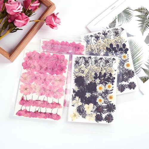 12 Types 48PCS Real Dried Pressed Flowers for Resin, Leaf Plant Herbarium for Jewelry Making Craft (Black and White) AHTONG