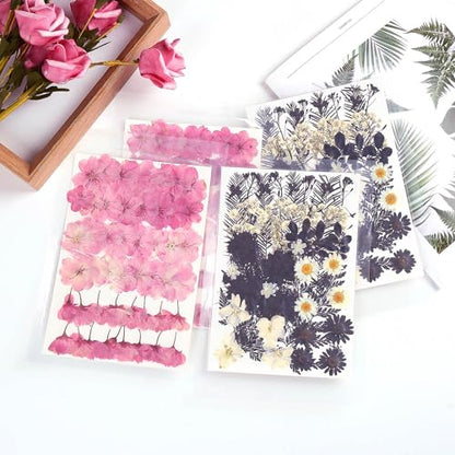 12 Types 48PCS Real Dried Pressed Flowers for Resin, Leaf Plant Herbarium for Jewelry Making Craft (Black and White)