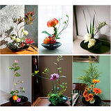 WANDIC Flower Arrangement Kit, Set of 51, Round Flower Holders, Ceramic Flower Pot, Kenzan Needle Cleaning Pin & Rake, Floral Stems and Floral Tape WANDIC