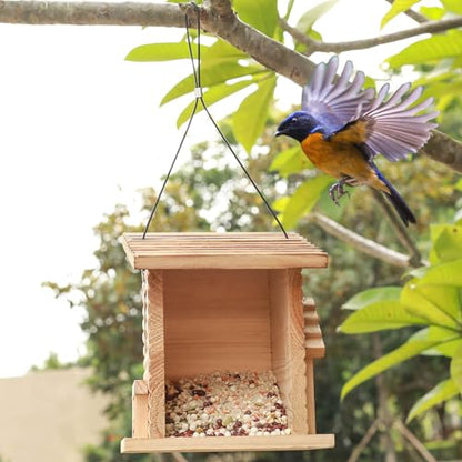 Bird Feeder for Outside,Hanging Bird Feeder - Mealworms Feeder Squirrel Proof, Bluebird House Feeder with Clear Acrylic Window - Perfect Bird Feeders - WoodArtSupply