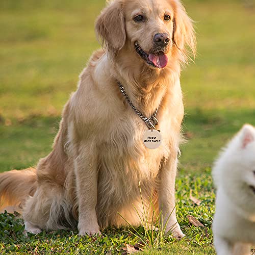 Happyay 30Pcs Natural Wood Slices, 1.5 inch Unfinished Wood Sign, Unfinished Predrilled Log Discs Wooden Circles with 30 pcs Key Rings for DIY Crafts Happyay