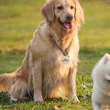 Happyay 30Pcs Natural Wood Slices, 1.5 inch Unfinished Wood Sign, Unfinished Predrilled Log Discs Wooden Circles with 30 pcs Key Rings for DIY Crafts Happyay