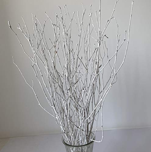 Decorative Birch Branches Decoration, 23 Inch Birch Stems for Wedding Decor,Dried Twigs for Christmas Decor (White) - WoodArtSupply