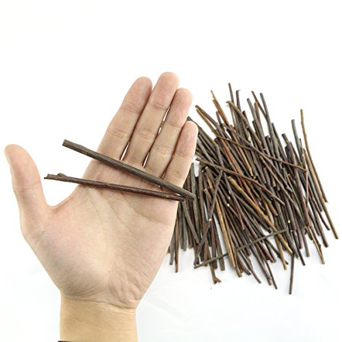 TKOnline 100Pcs 10cm 0.1-0.2 Inch in Diameter Wood Log Sticks for DIY Crafts Photo Props Craft Sticks,Wood Crafts,Sticks inch - WoodArtSupply