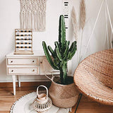 Ikee Design Wooden Jewelry Display Rack with 20 Removable Metal Hooks, Earring Card Display Holder Stand with Hooks, Earring Display Stand for Ikee Design