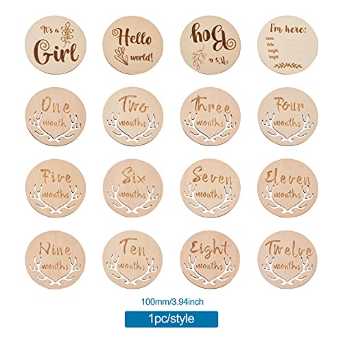 Pandahall 16pcs Baby Monthly Milestone Cards from Newborn to 1 Year Wooden Newborn Photo Card Props Pregnancy Journey Milestone Markers for Baby Girl - WoodArtSupply