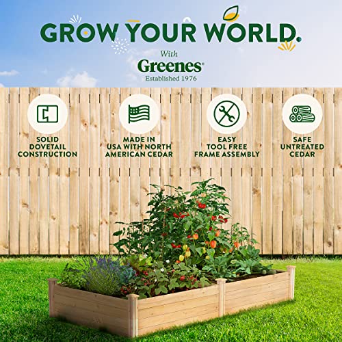 Greenes Fence Original Cedar Raised Garden Bed, 4' x 8' x 14" - Made in USA with North American Cedar Greenes Fence